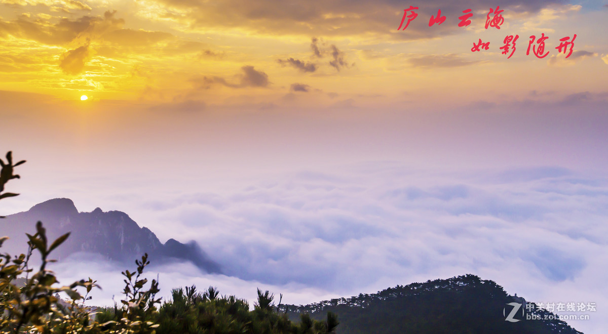 不识庐山真面目