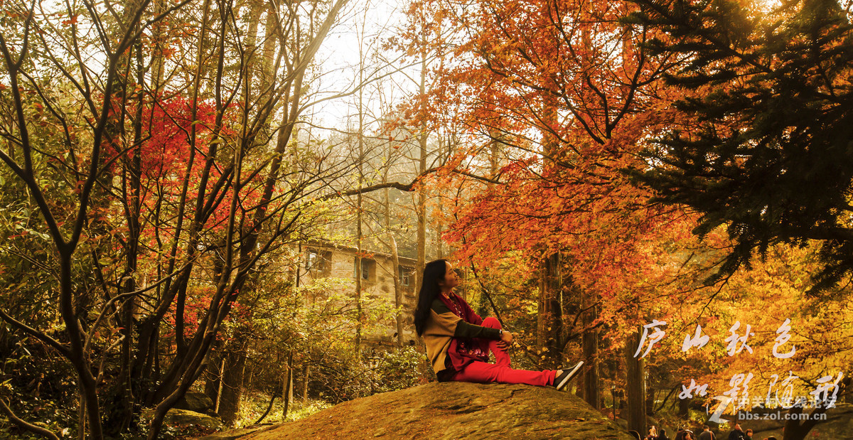 不识庐山真面目