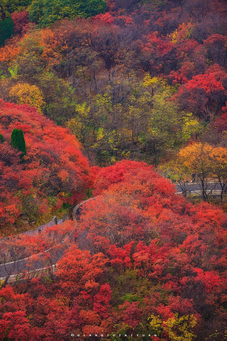 佳能月赛一叶知秋看万山红遍层林尽染
