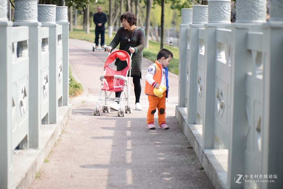 一组风光、小景随拍——在春天的脚步声里