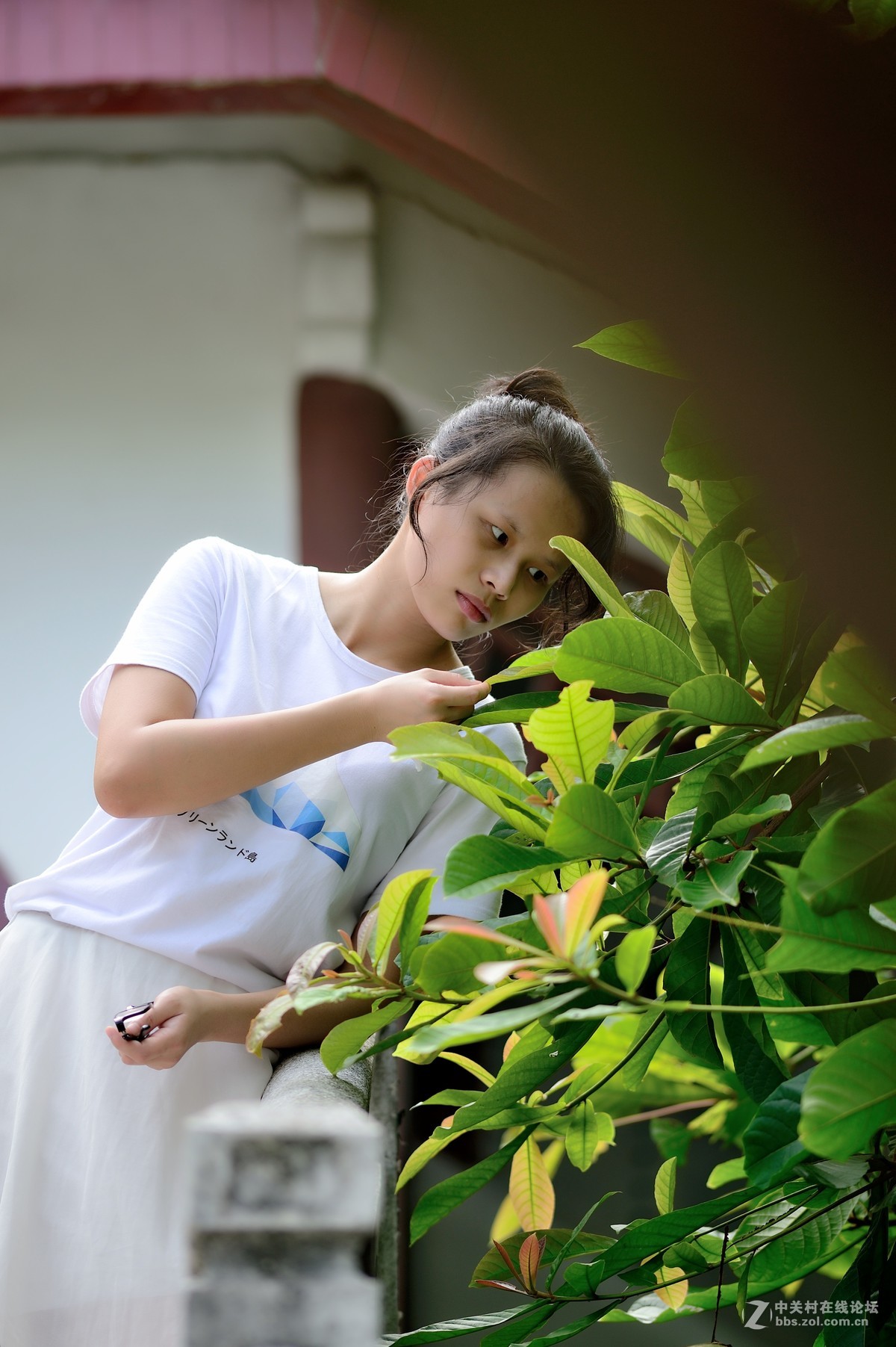 手动老镜 Ais 180f2.8ED试镜