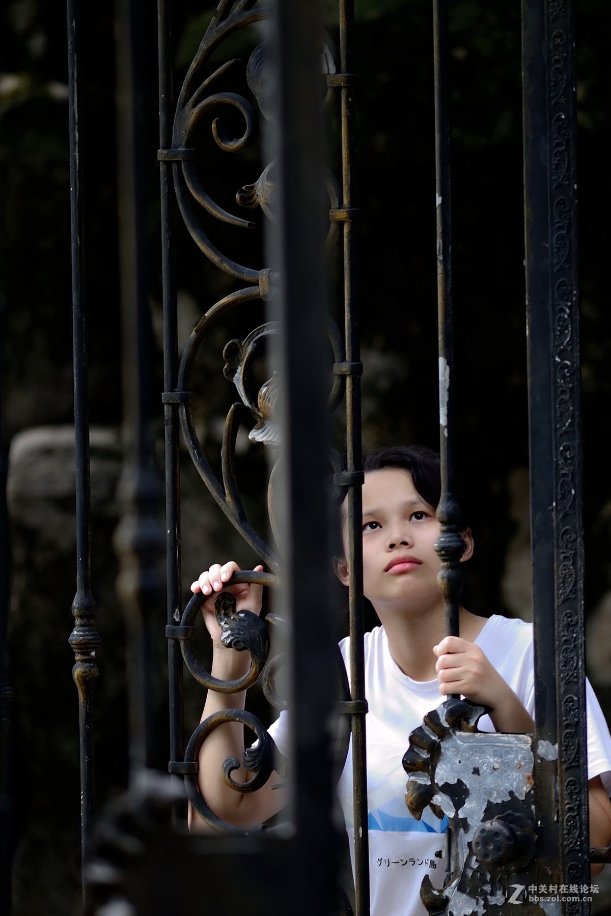 手动老镜 Ais 180f2.8ED试镜