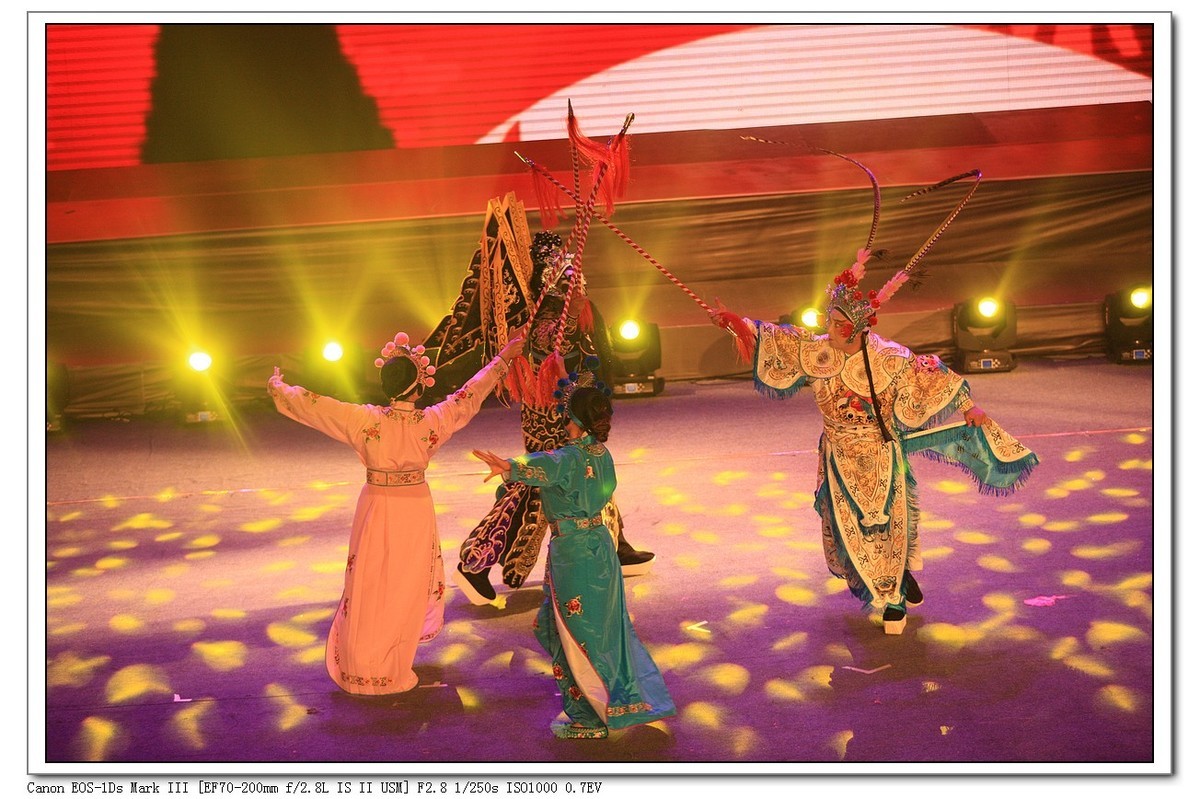 人文纪实  岁岁重阳  今又重阳（续）