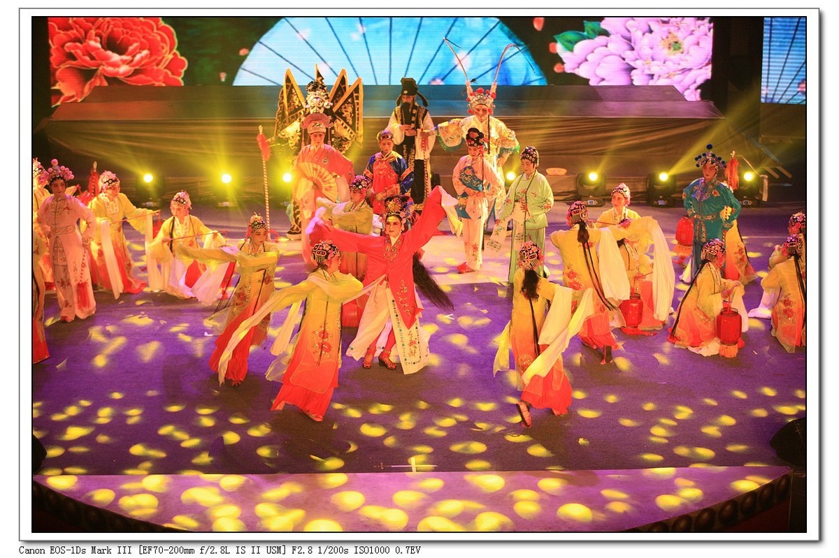 人文纪实  岁岁重阳  今又重阳（续）