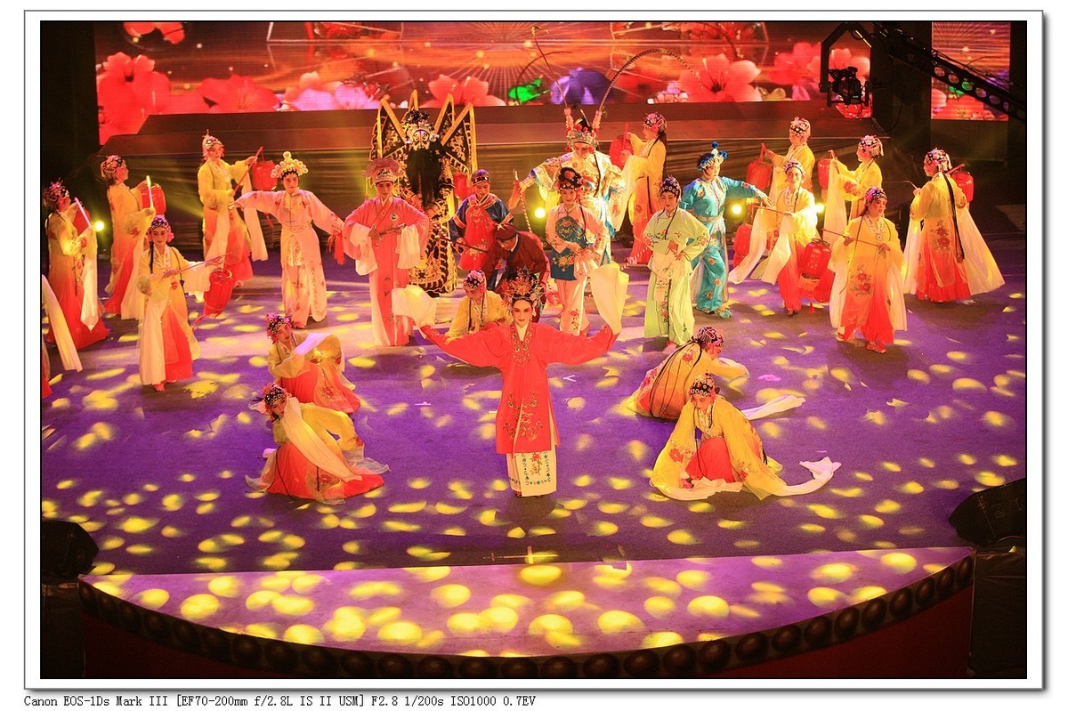 人文纪实  岁岁重阳  今又重阳（续）