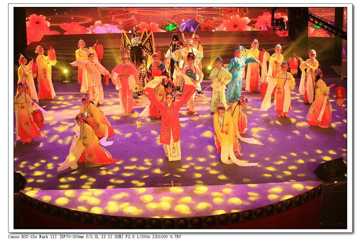 人文纪实  岁岁重阳  今又重阳（续）