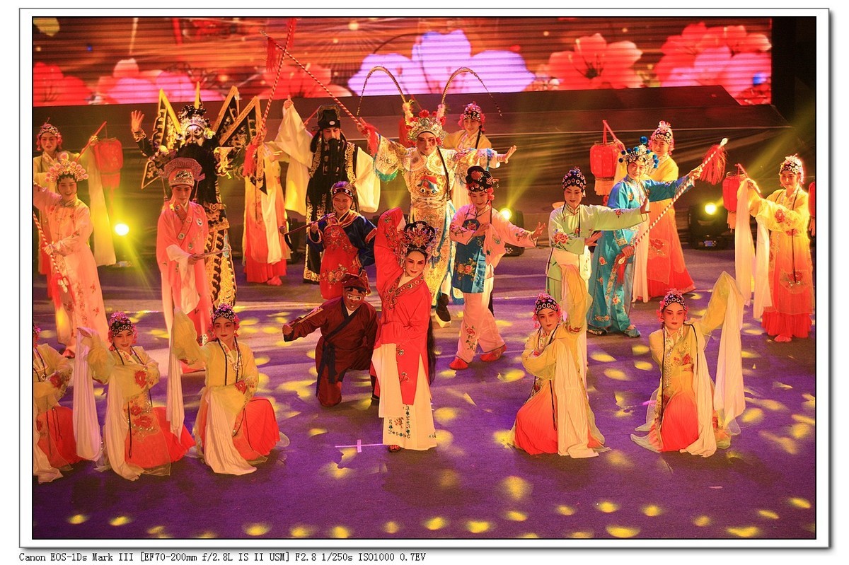 人文纪实  岁岁重阳  今又重阳（续）