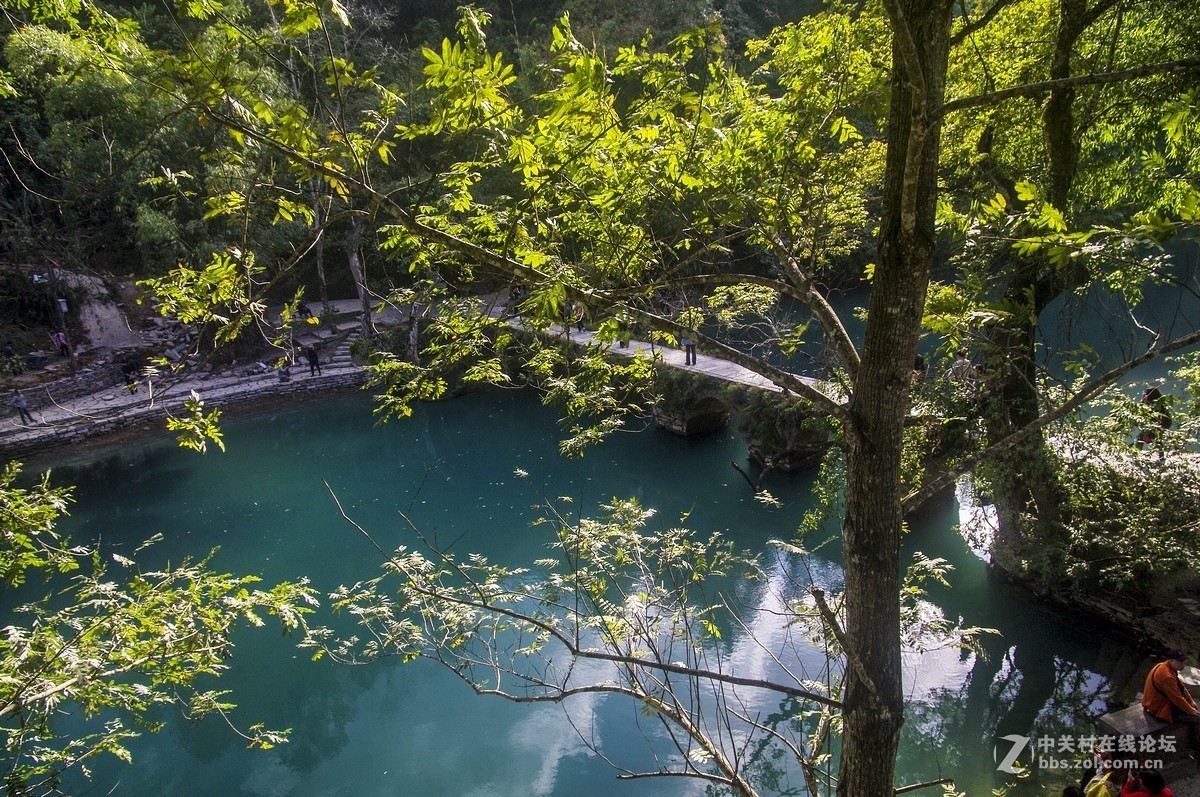 荔波小七孔桥——向老阿老师、北京老孙老师、城南老宋老师学习，向摄友老师们学习。