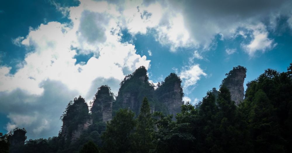 8岁摄影小丫头作品