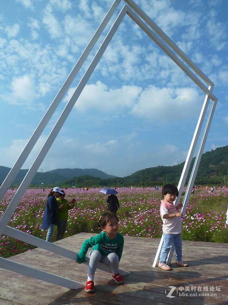 捧着花儿来报到