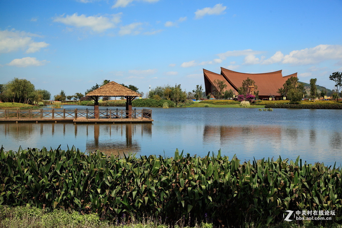 2016年第四季《红河星空(中国)》优秀作品精选集