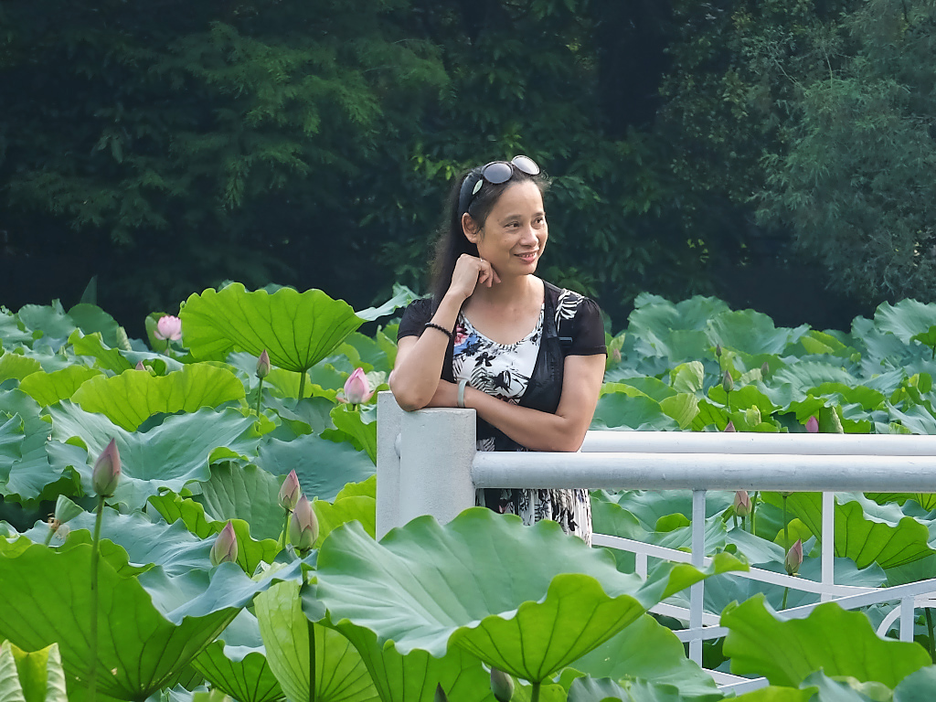 公  园  赠  拍 （三十二）