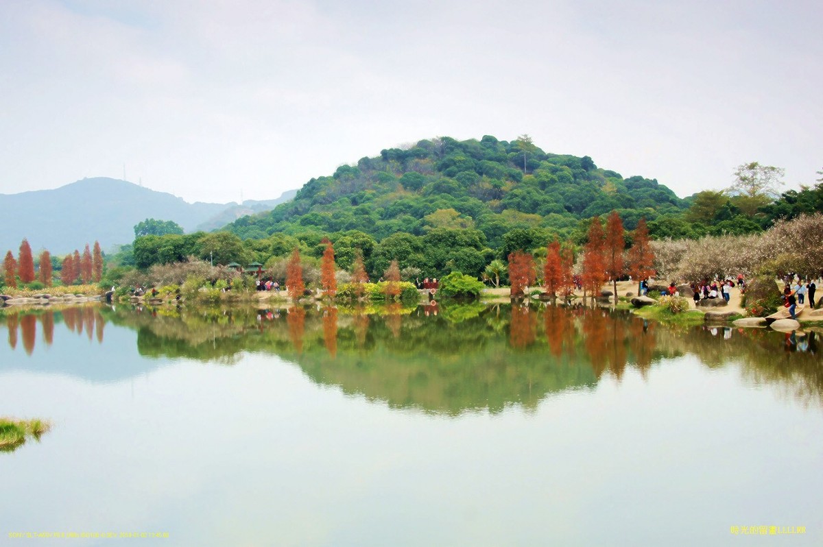 水景----10P (罗岗香雪公园)