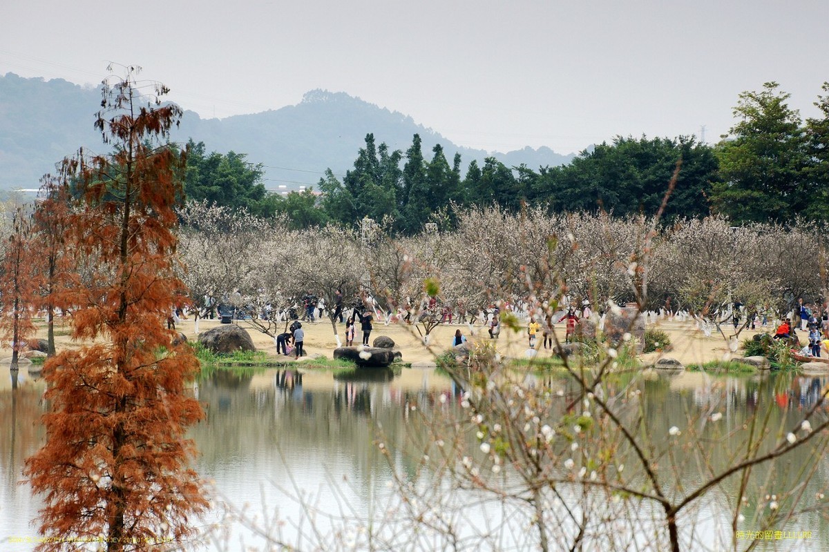 水景----10P (罗岗香雪公园)