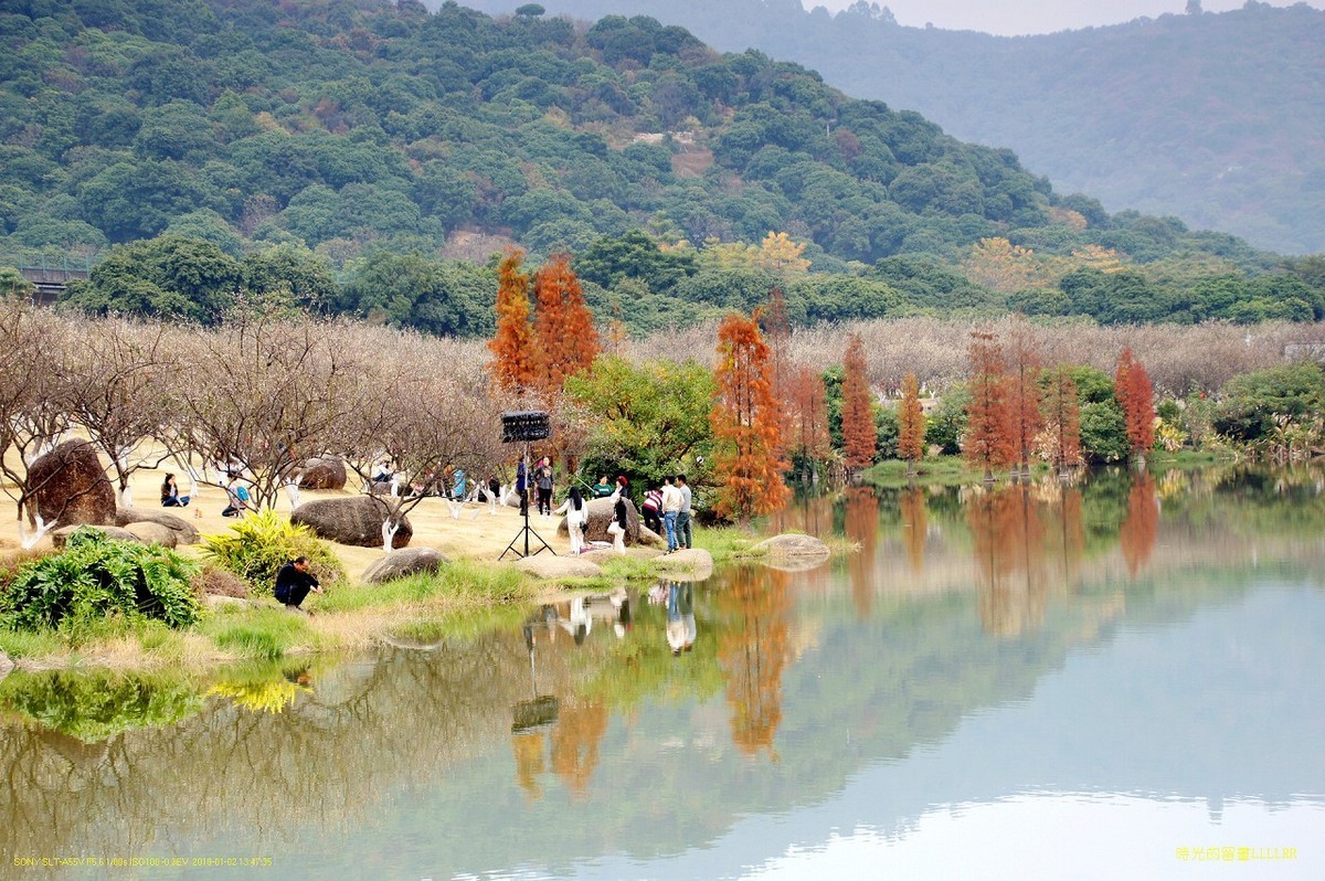 水景----10P (罗岗香雪公园)