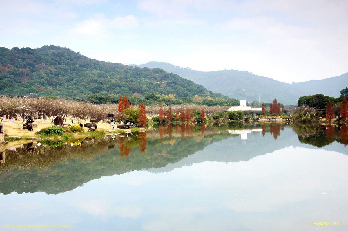 水景----10P (罗岗香雪公园)