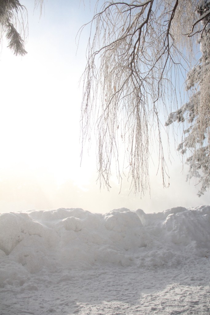 南湖冰雪----2018-1-6