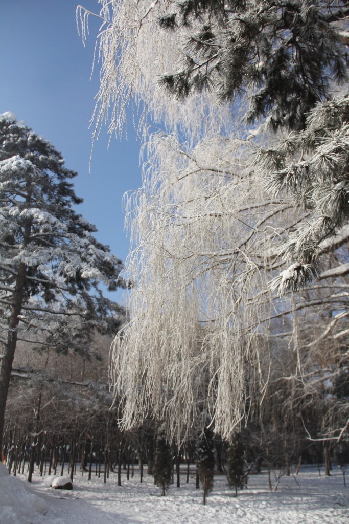 南湖冰雪----2018-1-6