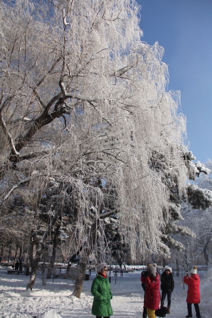 南湖冰雪----2018-1-6