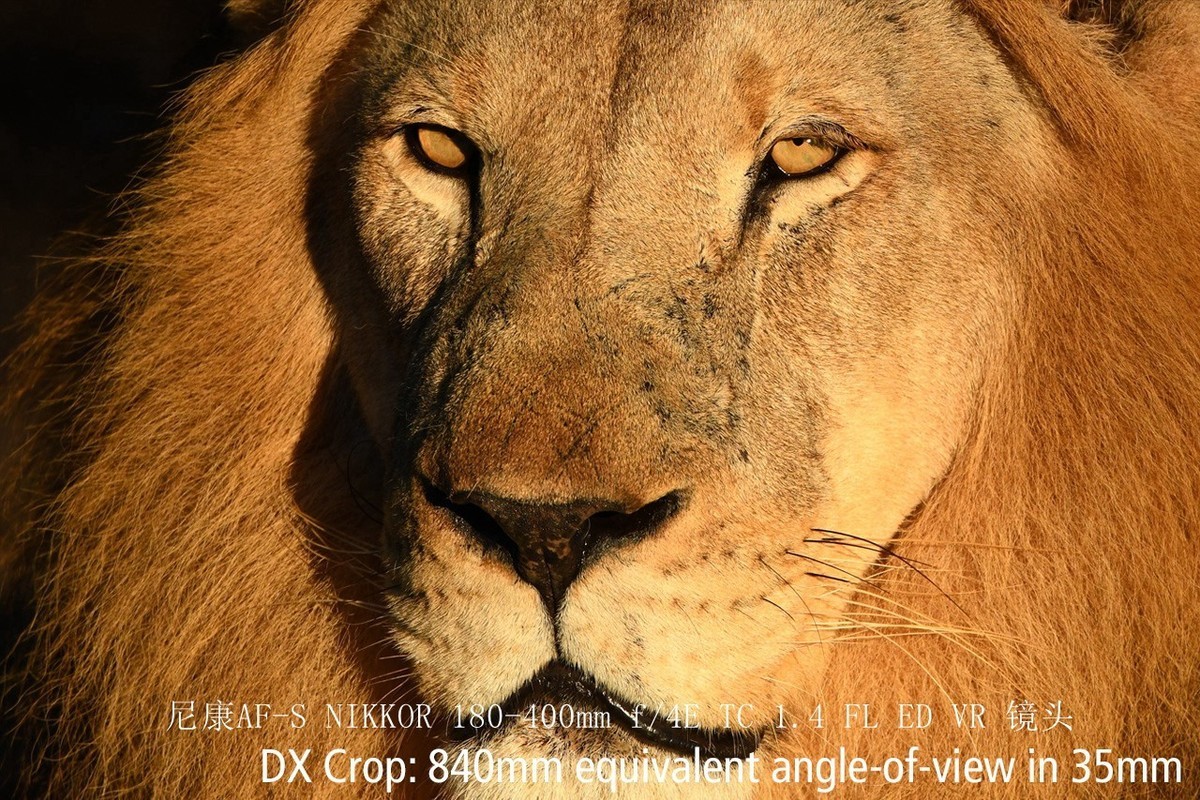 尼康正式发布180-400mm f/4E X1.4内置增倍和与佳能的镜头对比MTF曲线以及官方20张样片