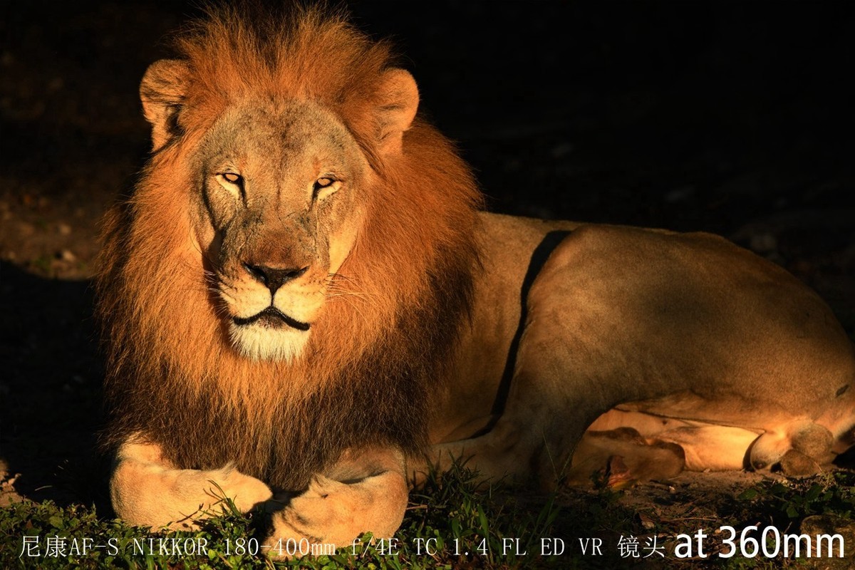 尼康正式发布180-400mm f/4E X1.4内置增倍和与佳能的镜头对比MTF曲线以及官方20张样片