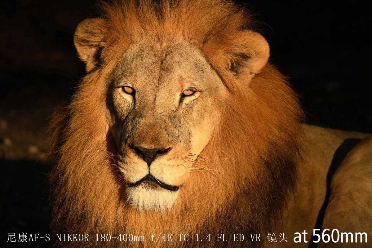 尼康正式发布180-400mm f/4E X1.4内置增倍和与佳能的镜头对比MTF曲线以及官方20张样片