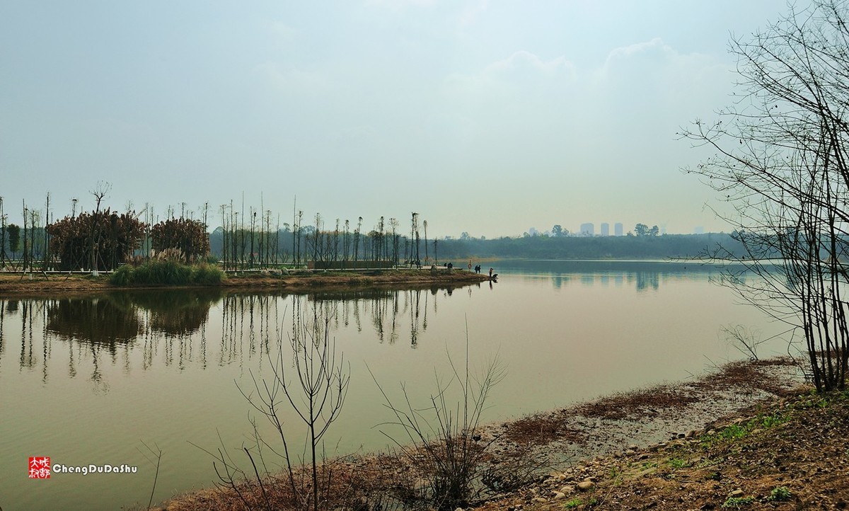 成都青龍湖溼地公園三