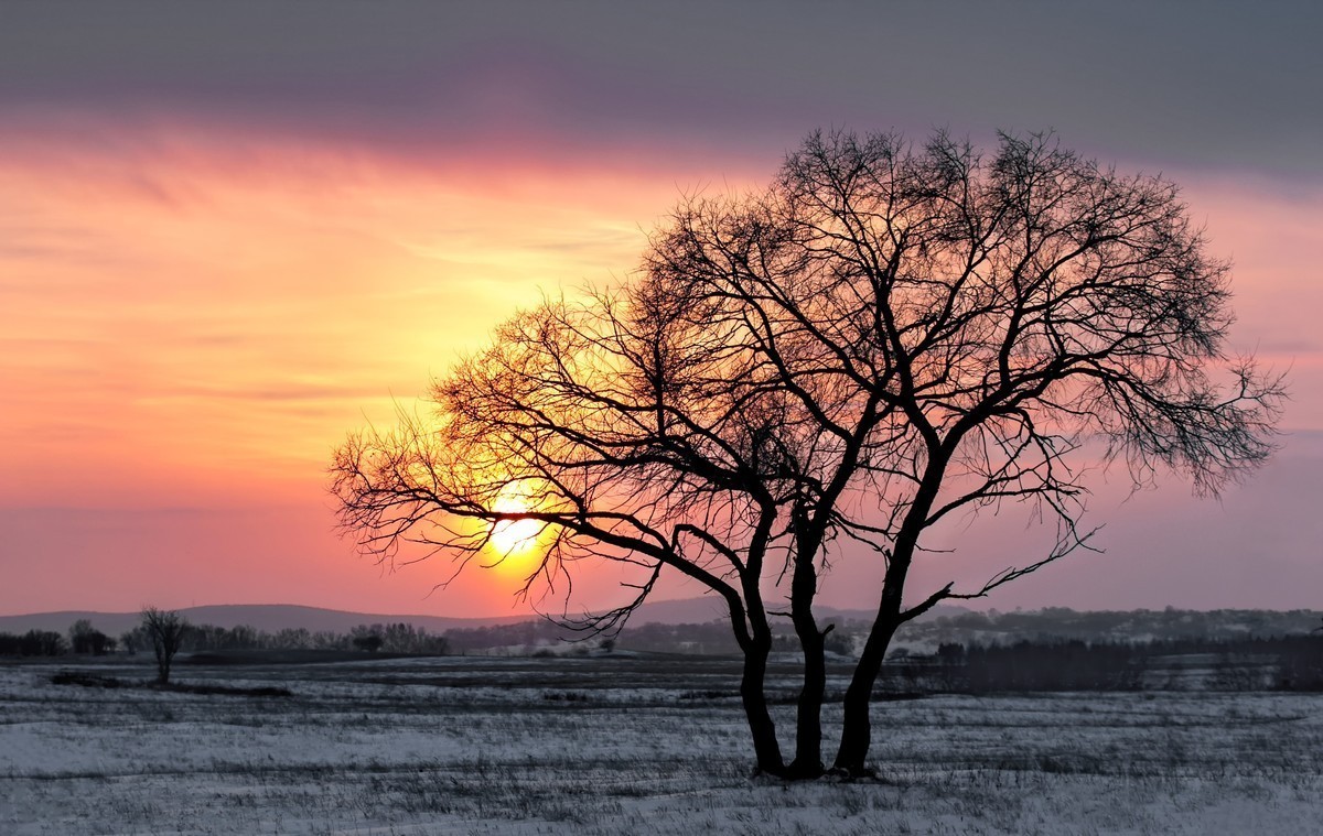 乌兰布统的夕阳