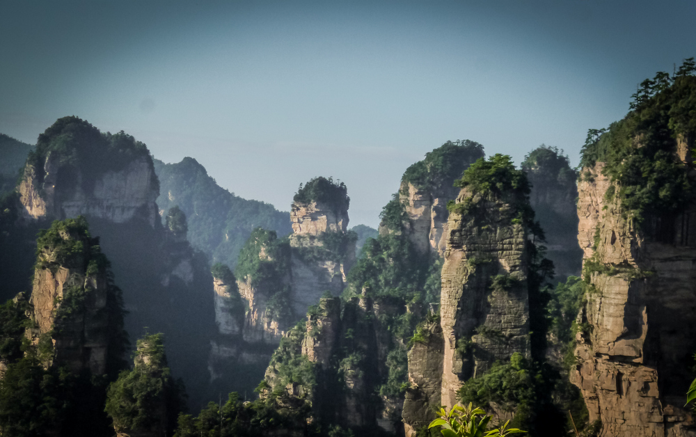 8岁摄影小丫头作品