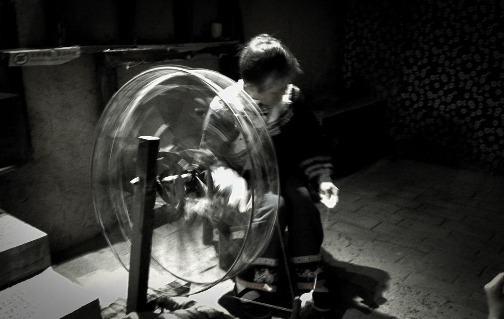 8岁摄影小丫头作品