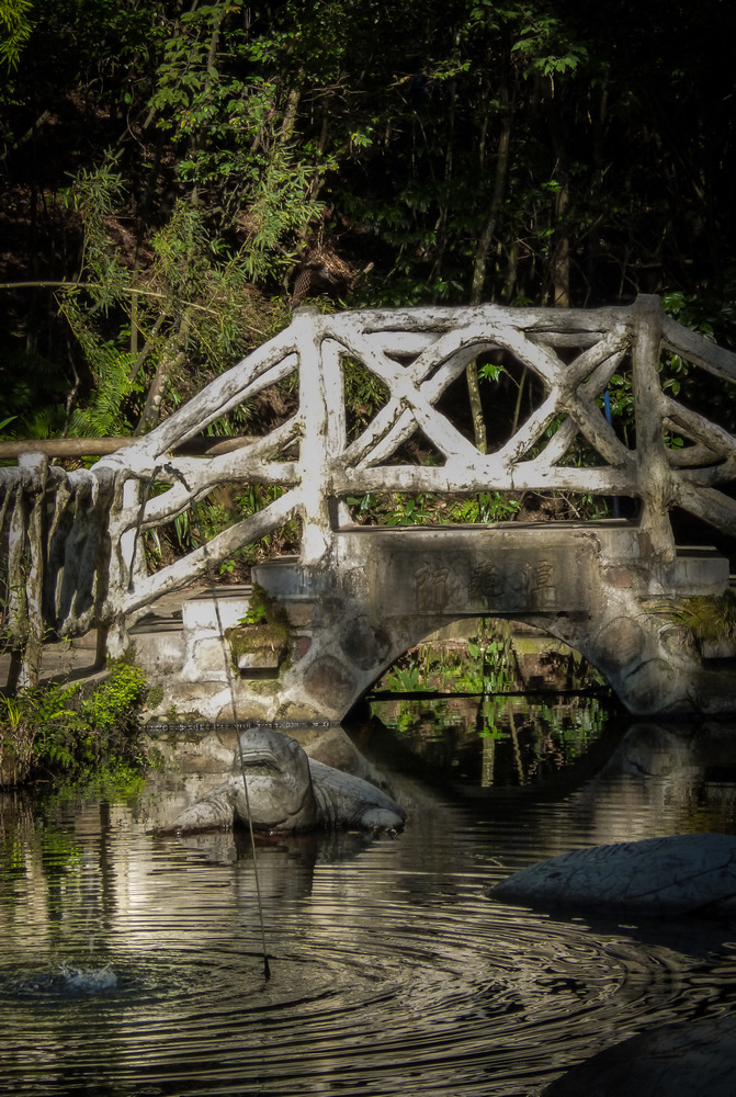 8岁摄影小丫头作品