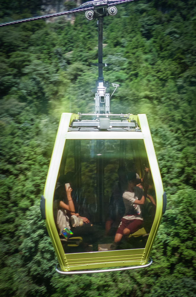 8岁摄影小丫头作品