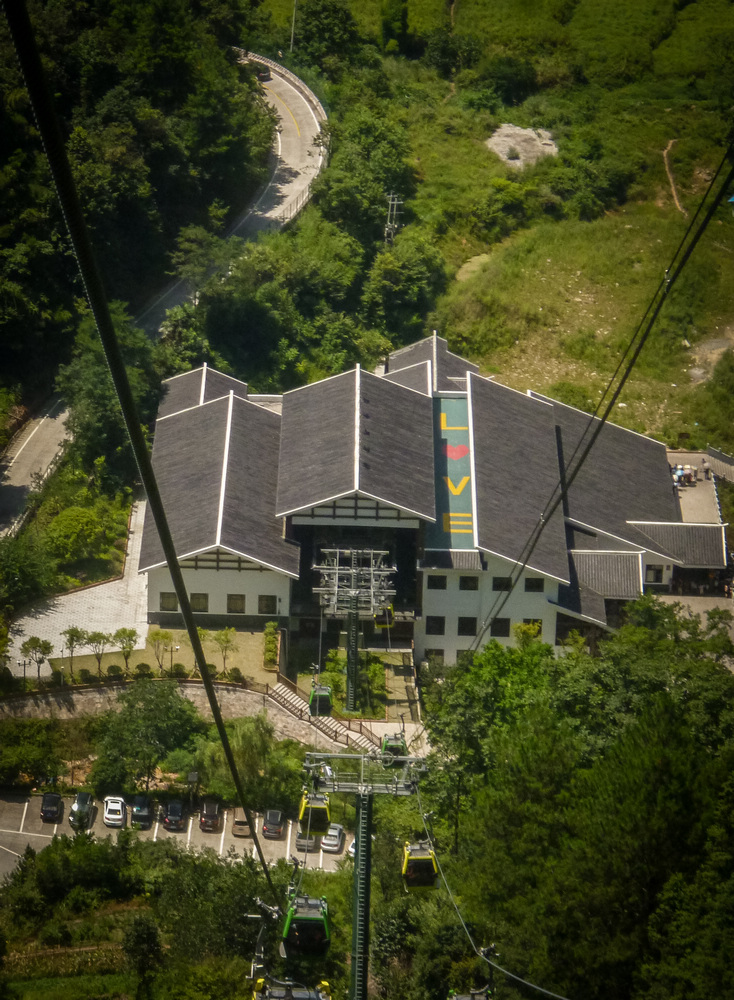 8岁摄影小丫头作品