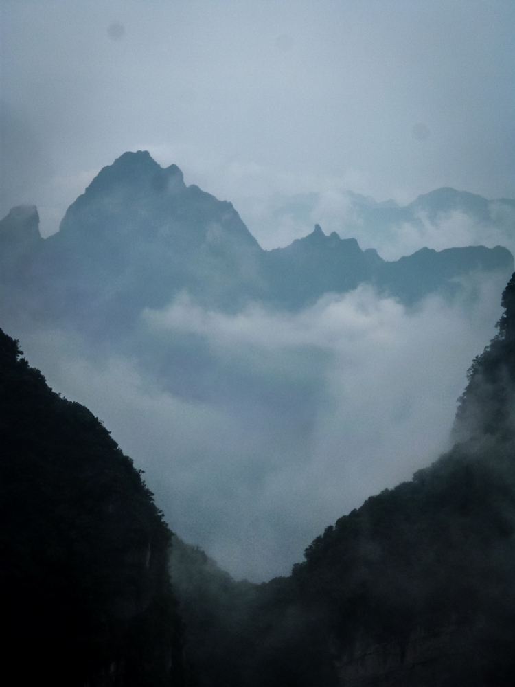 8岁摄影小丫头作品