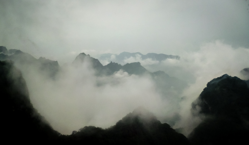 8岁摄影小丫头作品