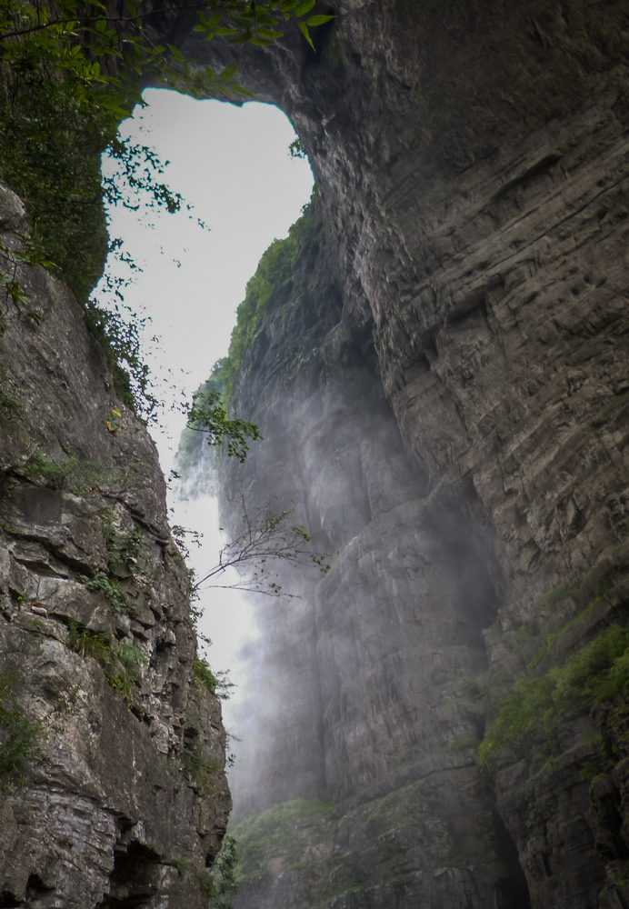 8岁摄影小丫头作品