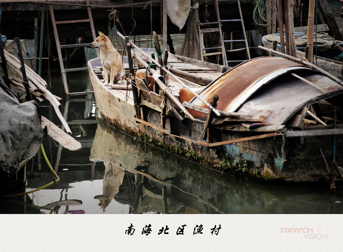 北区渔村南海最后的疍家水乡