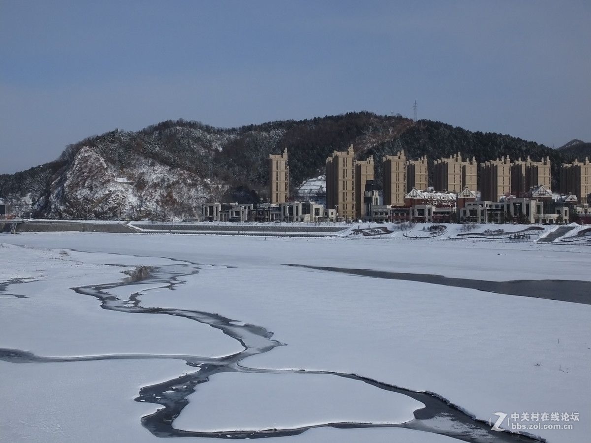 大雪过后的麻雀与野鸭