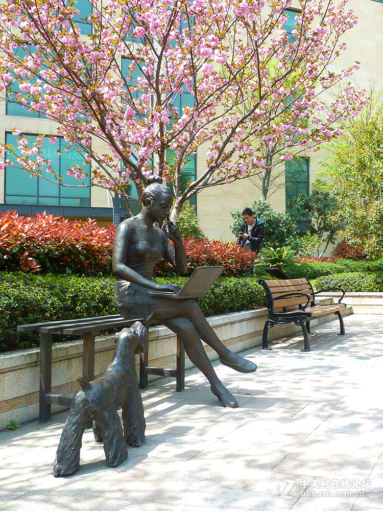 捧着花儿来报到