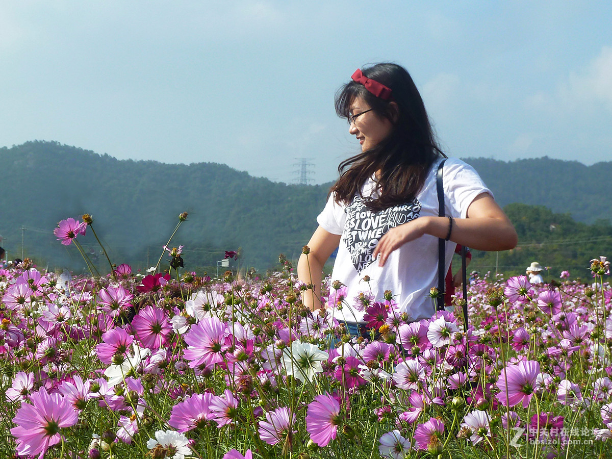 捧着花儿来报到