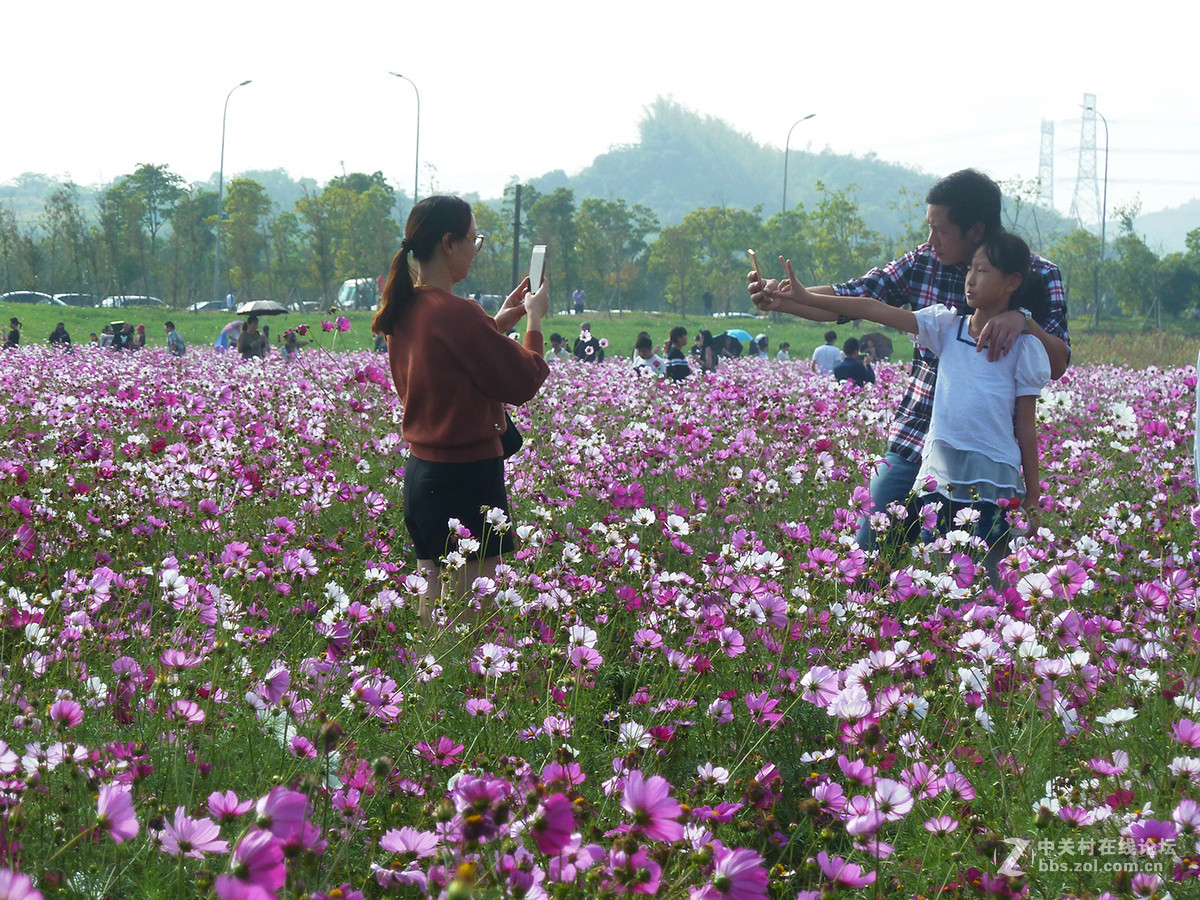捧着花儿来报到