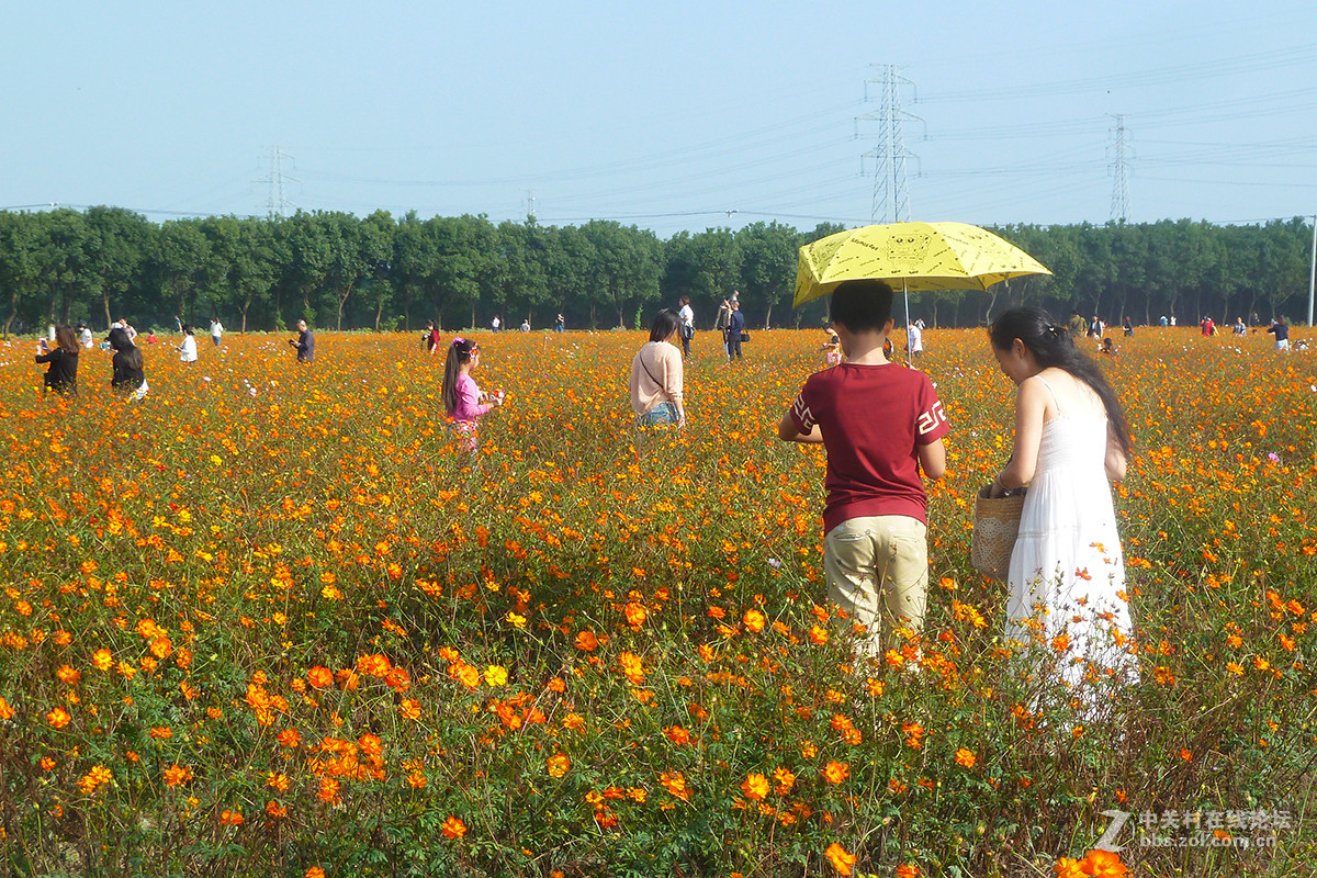 捧着花儿来报到