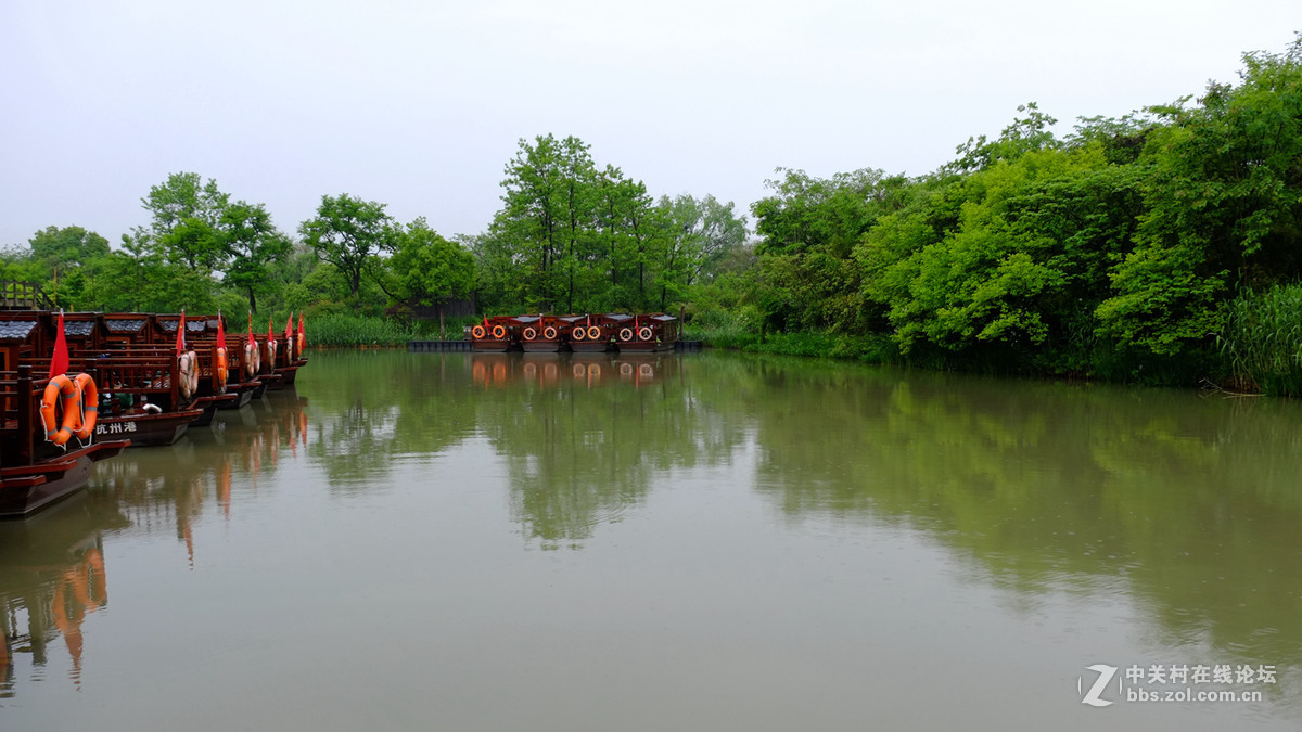 雨中西溪溼地-中關村在線攝影論壇