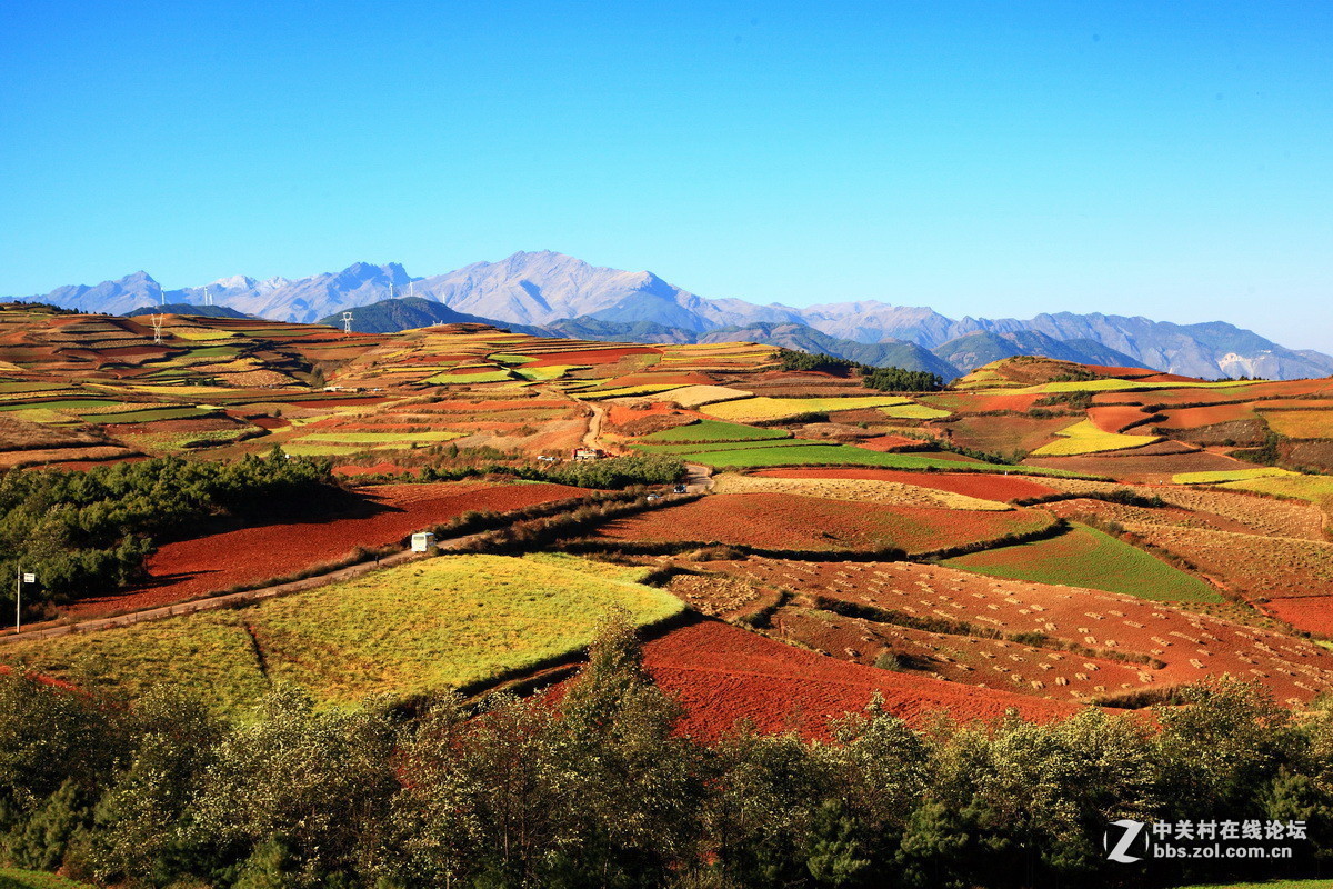 2016年第四季《红河星空(中国)》优秀作品精选集