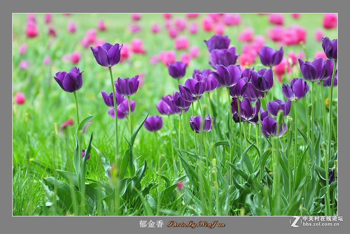 2016年第四季《红河星空(中国)》优秀作品精选集