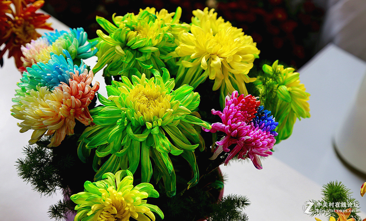 2016年第四季《红河星空(中国)》优秀作品精选集