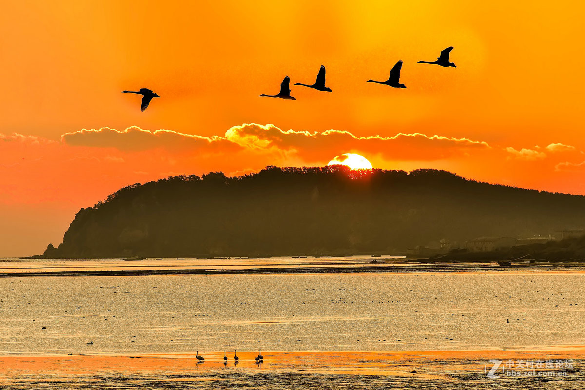#版主坐堂#《自然风景星空(中国)每月精选》2016年12月份优秀作品选编