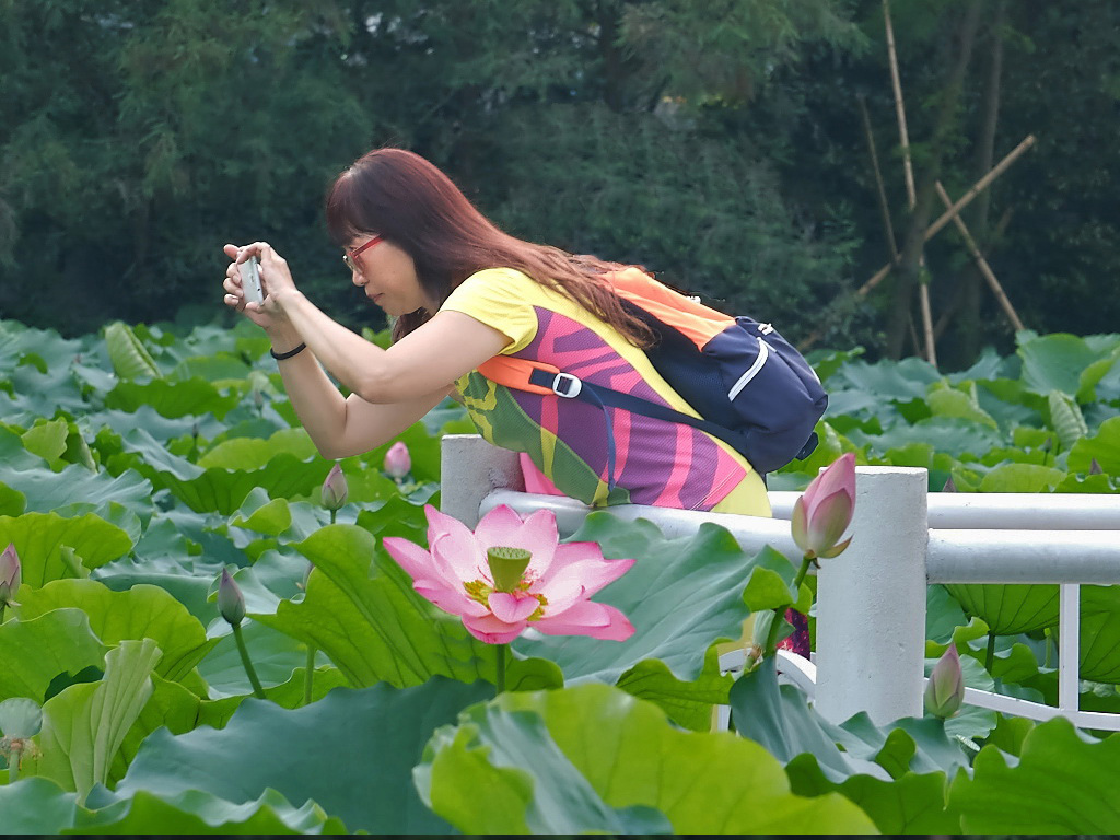 公  园  赠  拍 （三十二）