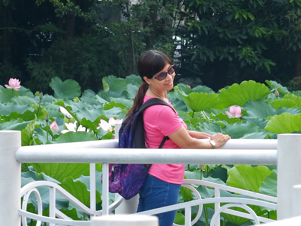 公  园  赠  拍 （三十二）