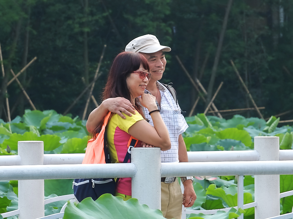 公  园  赠  拍 （三十二）